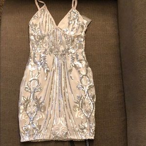 Silver Sheer Sequin Bodycon dress